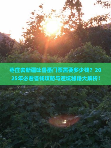 枣庄去新疆吐鲁番门票