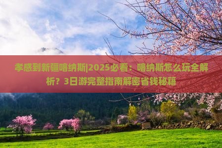 孝感到新疆喀纳斯哪里玩