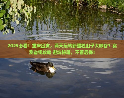 重庆到新疆独山子大峡谷二日游