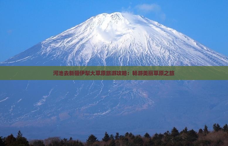 河池去新疆伊犁大草原门票