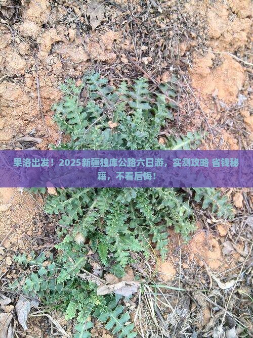 果洛到新疆独库公路六日游