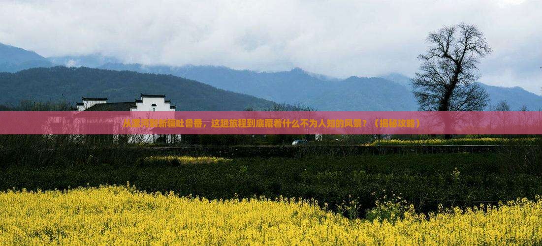 漯河到新疆吐鲁番景点