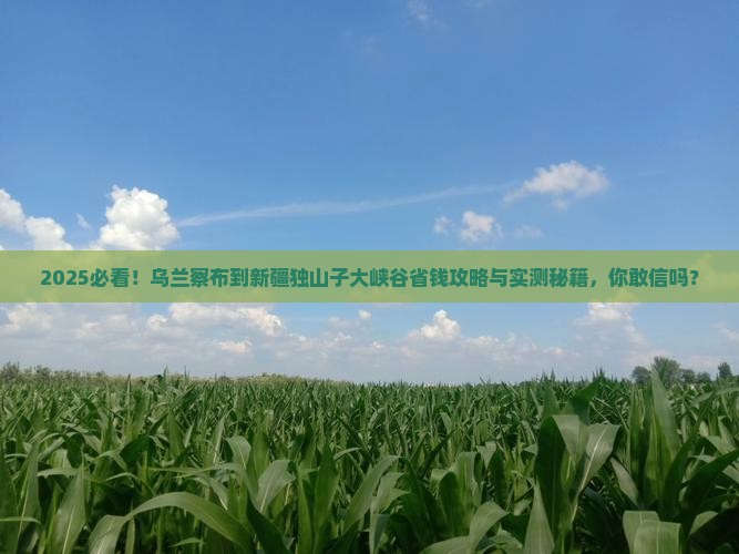 乌兰察布到新疆独山子大峡谷攻略