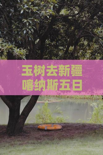 玉树去新疆喀纳斯五日游