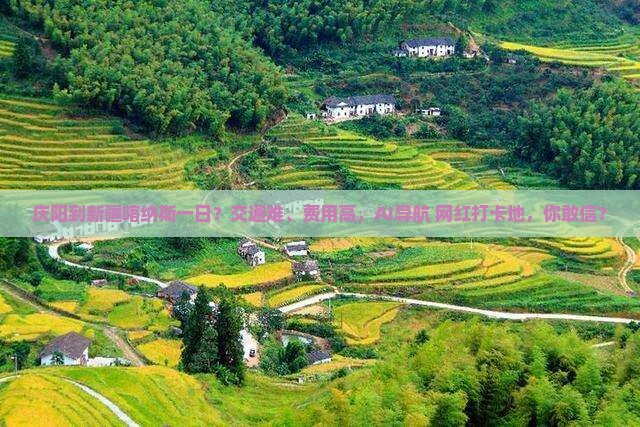 庆阳到新疆喀纳斯一日