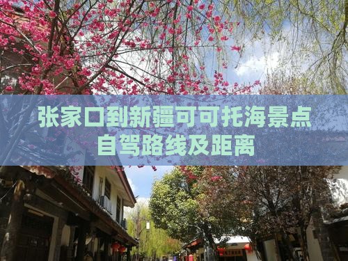 张家口到新疆可可托海景点