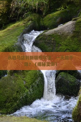 驻马店去新疆布尔津一日