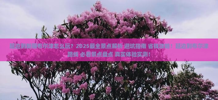 延边到新疆布尔津景点