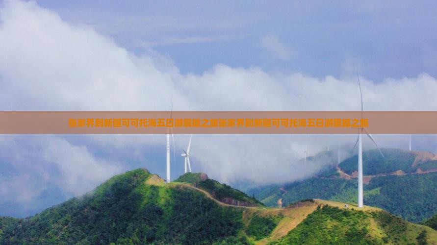 张家界到新疆可可托海五日游
