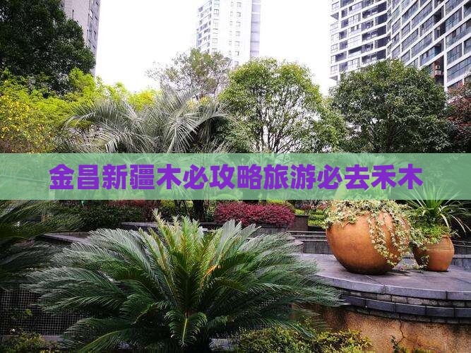 金昌去新疆禾木必去地