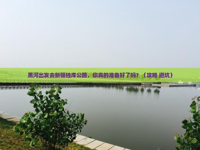 黑河去新疆独库公路旅行社