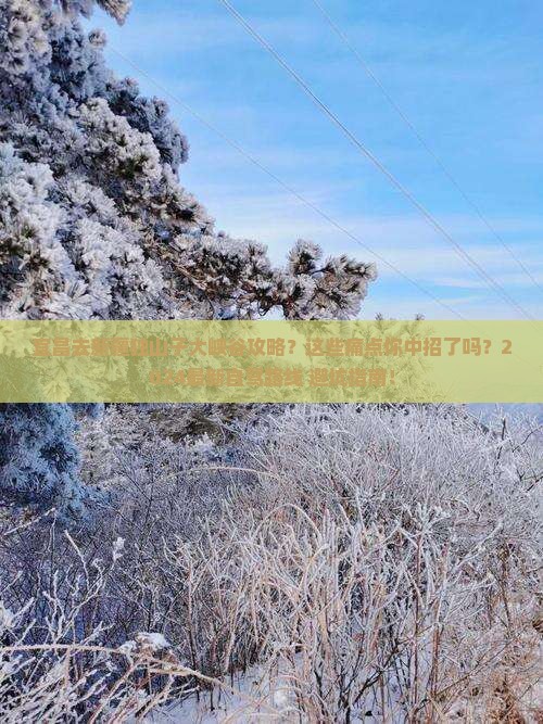 宜昌去新疆独山子大峡谷攻略