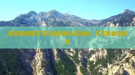 贵港到新疆可可托海旅游小吃