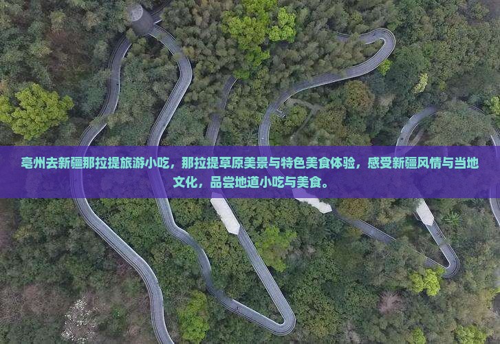 亳州去新疆那拉提旅游小吃