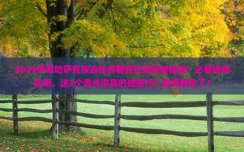 伊犁哈萨克去新疆吐鲁番四日游