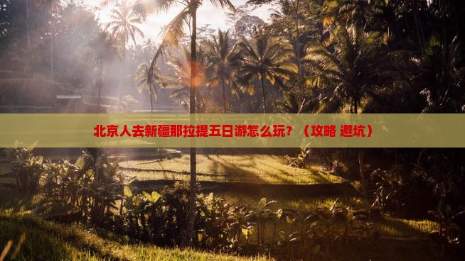 北京去新疆那拉提五日游