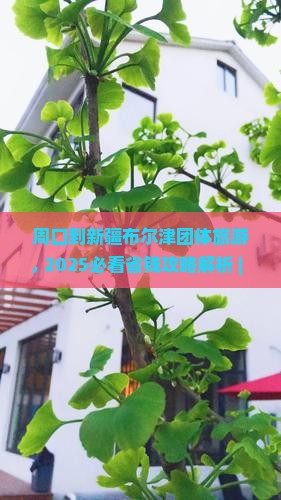 周口到新疆布尔津团体旅游