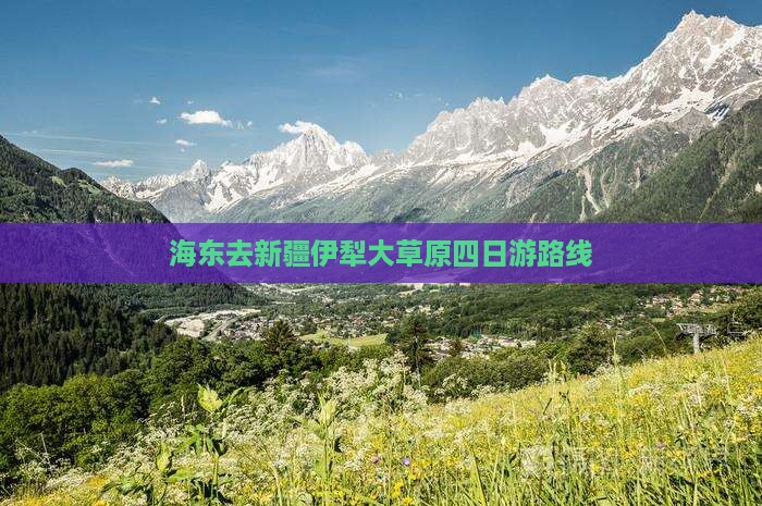 海东去新疆伊犁大草原四日游