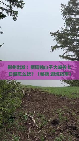 郴州去新疆独山子大峡谷七日游