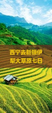 西宁去新疆伊犁大草原七日游