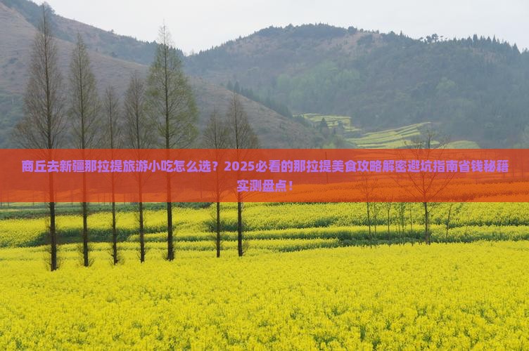 商丘去新疆那拉提旅游小吃