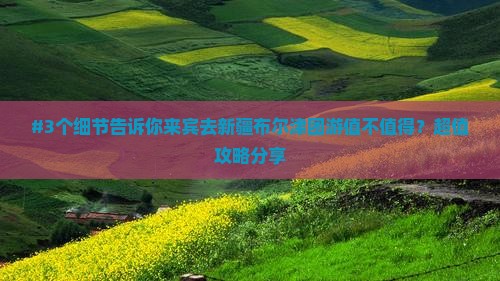 来宾到新疆布尔津团体旅游