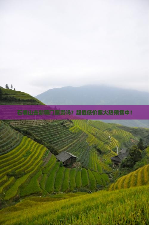 石嘴山去新疆门票