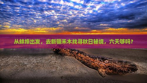 蚌埠到新疆禾木六日游