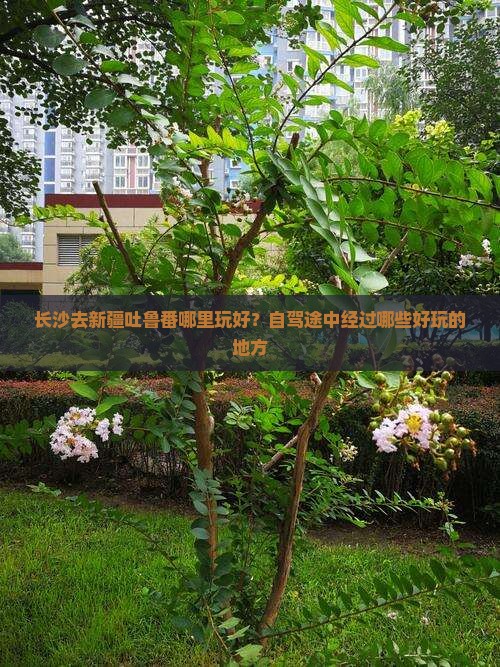 长沙去新疆吐鲁番哪里玩