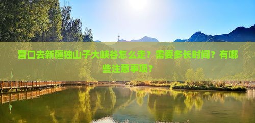 营口去新疆独山子大峡谷景点