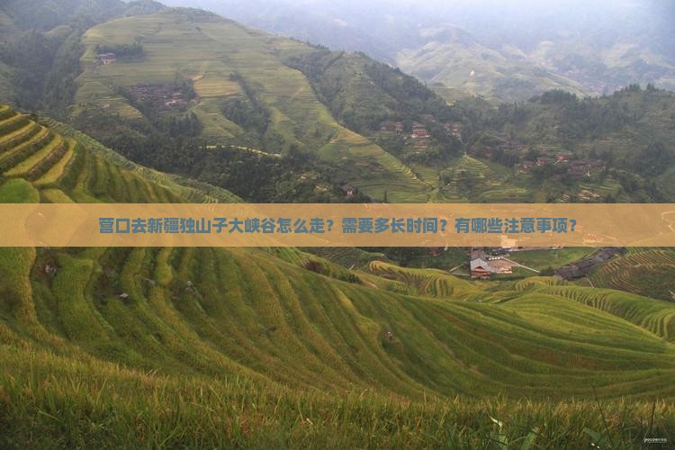营口去新疆独山子大峡谷景点