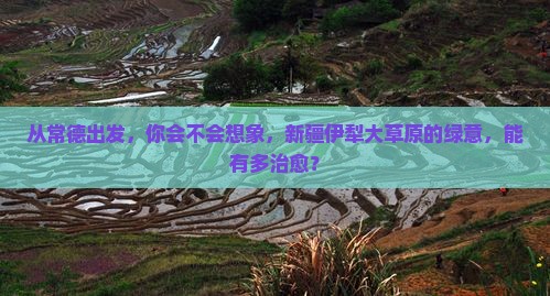 常德到新疆伊犁大草原个人游