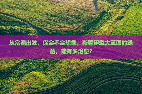 常德到新疆伊犁大草原个人游