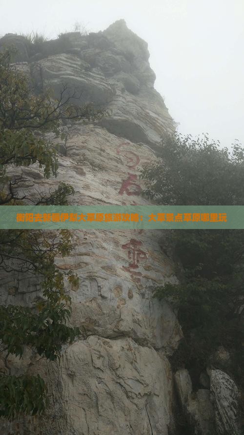 衡阳去新疆伊犁大草原哪里玩