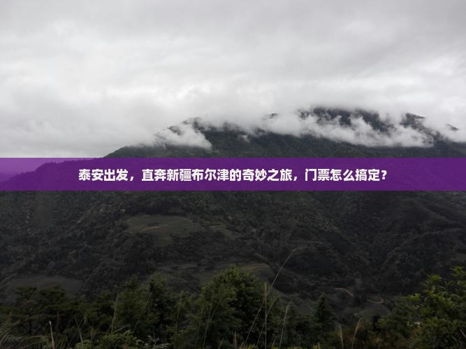 泰安去新疆布尔津门票