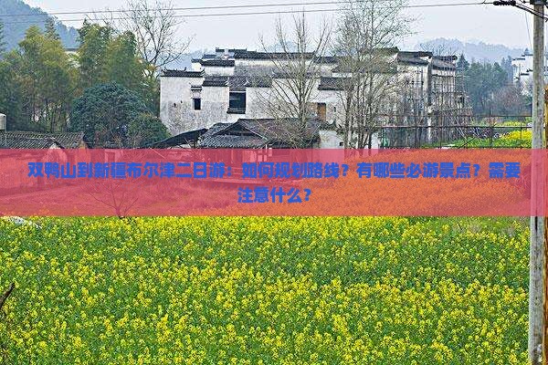 双鸭山到新疆布尔津二日游 双鸭山到新疆布尔津二日游