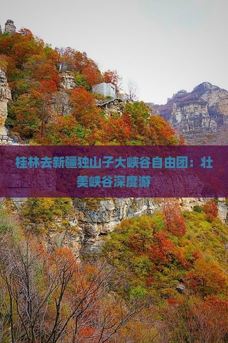 桂林去新疆独山子大峡谷自由团