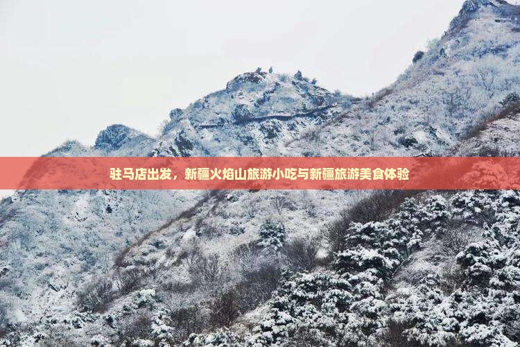 驻马店到新疆火焰山旅游小吃