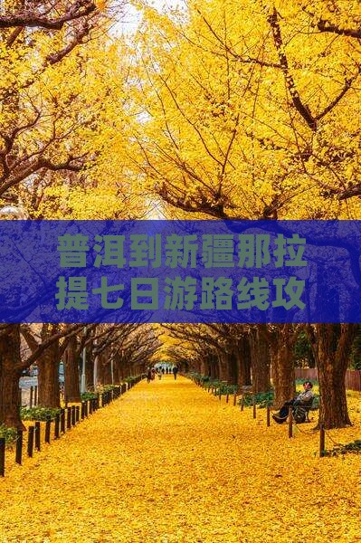 普洱到新疆那拉提七日游