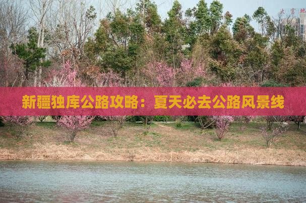 夏天去新疆独库公路必去地