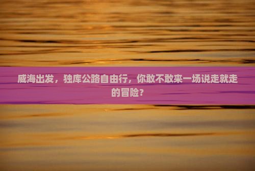 威海到新疆独库公路自由团