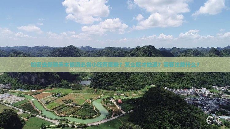 哈密去新疆禾木旅游小吃