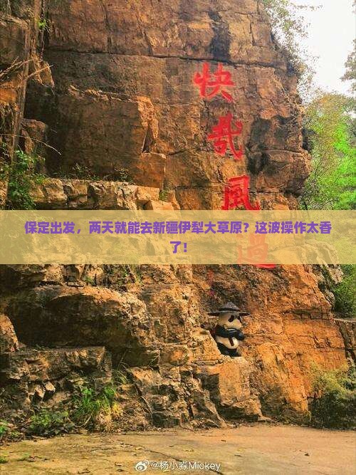 保定去新疆伊犁大草原二日游