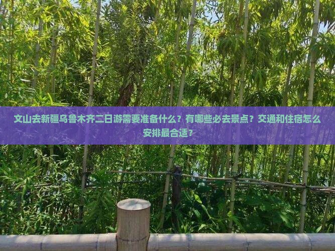 文山去新疆乌鲁木齐二日游