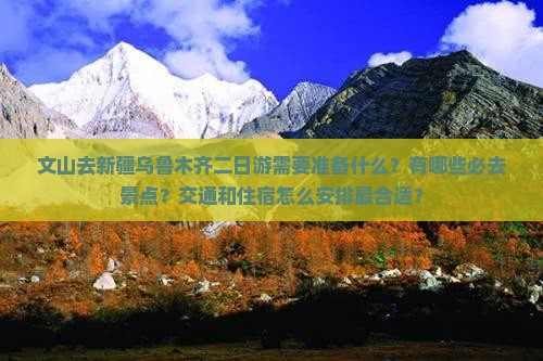 文山去新疆乌鲁木齐二日游
