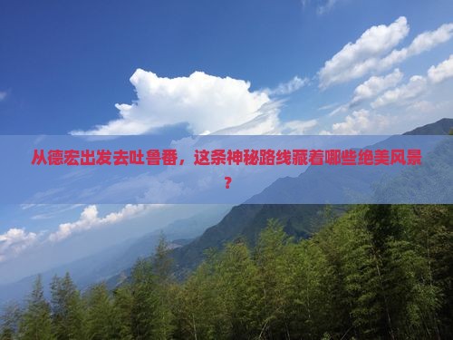 德宏去新疆吐鲁番哪里玩
