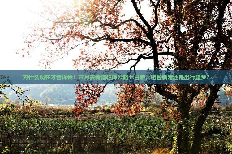 六月到新疆独库公路七日游