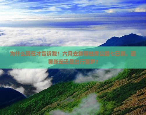 六月到新疆独库公路七日游