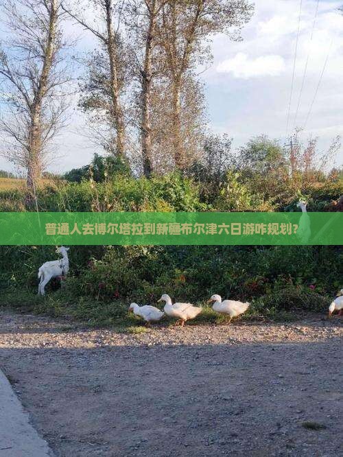 博尔塔拉去新疆布尔津六日游