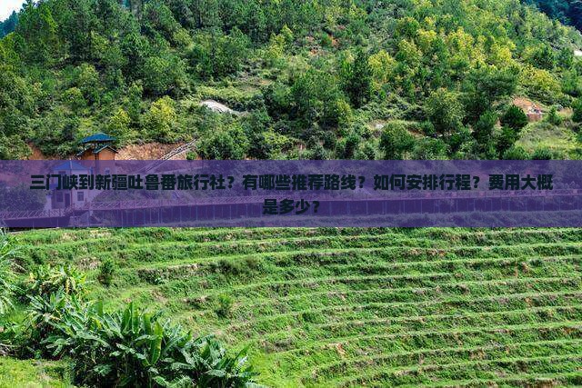 三门峡到新疆吐鲁番旅行社